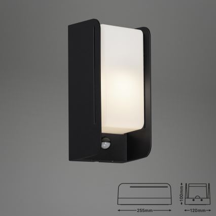 Briloner 3017-015 - Iluminação de parede exterior com sensor BOKS 1xE27/12W/230V IP44