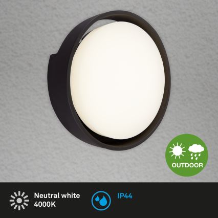 Briloner 3019-015 - Iluminação de parede exterior LED GENUA LED/18W/230V IP44 preto