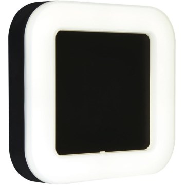 Briloner 3034-015 - Iluminação de parede exterior LED LED/15W/230V 4000K