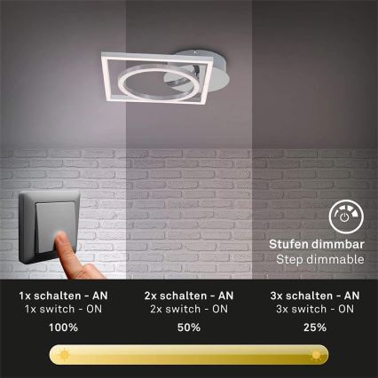 Briloner 3114-018 - Iluminação de teto LED com regulação FRAME LED/19,6W/230V 3000K