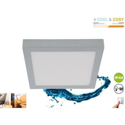 Briloner 3142-018 - Iluminação de teto para casa de banho LED COOL&COSY LED/21W/230V 2700/4000K IP44