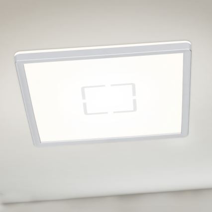Briloner 3174-014 - Iluminação de teto LED FREE LED/12W/230V 19x19 cm