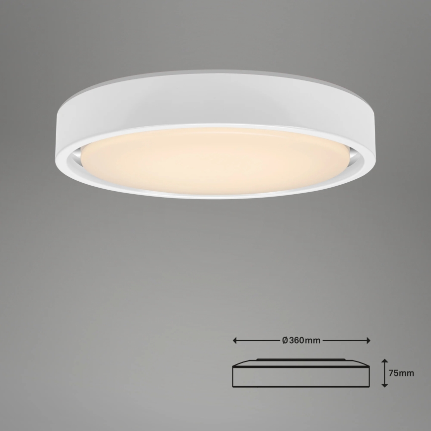 Briloner 3227-016 - LED RGB Iluminação com regulação com sensor TALENA LED/24W/230V branco + controlo remoto