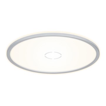 Briloner 3392-014 - Iluminação de teto LED FREE LED/22W/230V d. 42 cm