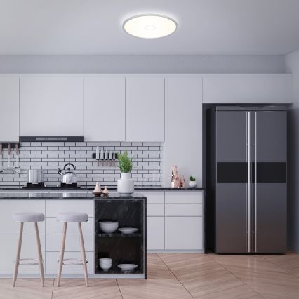 Briloner 3392-014 - Iluminação de teto LED FREE LED/22W/230V d. 42 cm