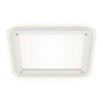Briloner 3397-016 - Iluminação de teto LED FREE LED/22W/230V