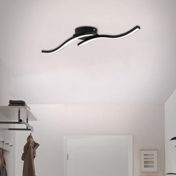 Briloner 3449-015 - Candelabro montado à superfície LED GO 2xLED/6W/230V