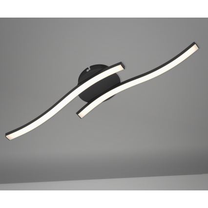 Briloner 3449-015 - Candelabro montado à superfície LED GO 2xLED/6W/230V