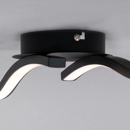 Briloner 3449-015 - Candelabro montado à superfície LED GO 2xLED/6W/230V