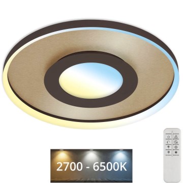 Briloner 3640017 - Iluminação de teto LED com regulação FRAME LED/25W/230V 2700-6500K + comando