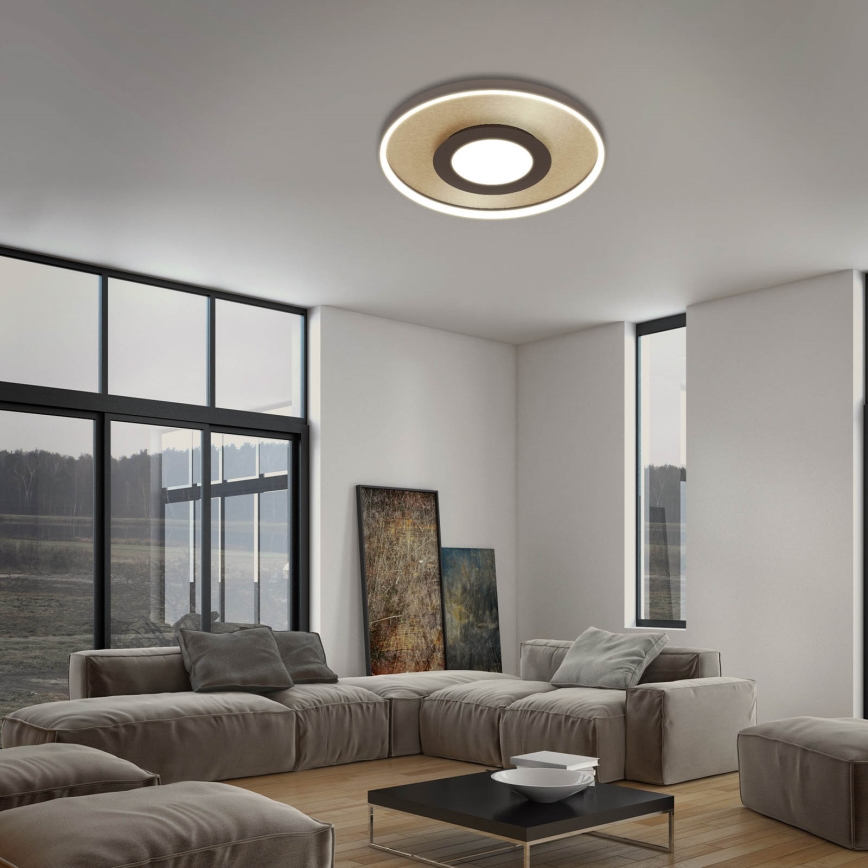 Briloner 3640017 - Iluminação de teto LED com regulação FRAME LED/25W/230V 2700-6500K + comando