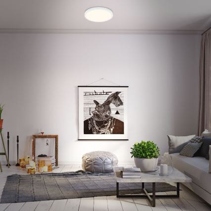 Briloner 3704-016 - Iluminação de teto LED com regulação RUNA LED/22W/230V 2700-6500K branco + controlo remoto