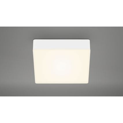 Briloner 7069-016 - Iluminação de teto LED LED/11W/230V branco
