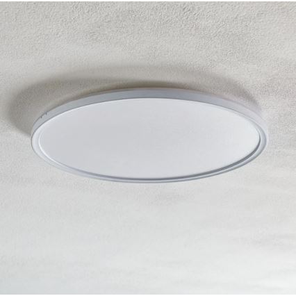 Briloner 7094-416 - Iluminação de teto LED RGBW com regulação SLIM LED/22W/230V + controlo remoto