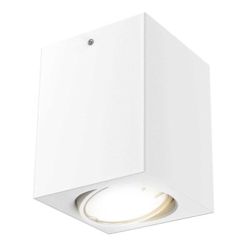Briloner 7120-016 - Foco LED TUBE 1xGU10/5W/230V angular