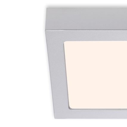 Briloner 7123-014 - Candeeiro de tecto LED FIRE LED/12W/230V 3000K 17x17cm prateado