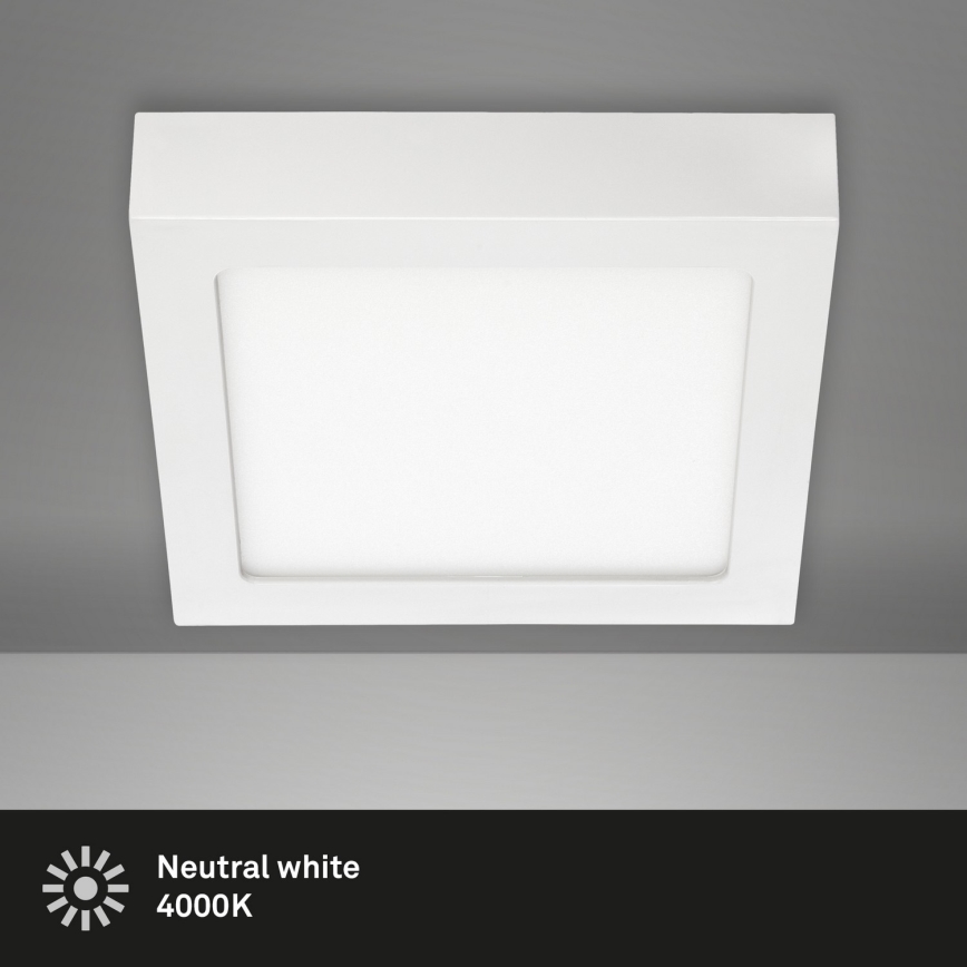 Briloner 7123-416 - Iluminação de teto LED FIRE LED/12W/230V branco
