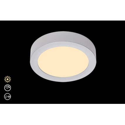 Briloner 7124-014 - Iluminação de teto LED com regulação FIRE LED/12W/230V 3000K