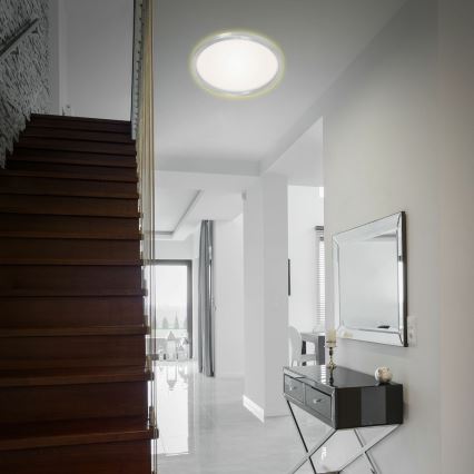 Briloner 7363-019 - Iluminação de teto LED CADRE LED/22W/230V d. 42,5 cm