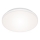 Briloner 7377-016 - Iluminação de teto LED com regulação LED/12W/230V 3000-6500K + comando
