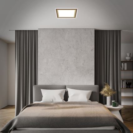 Briloner 7459-417 - Iluminação de teto LED com regulação DECO LED/24W/230V 2700-6500K + controlo remoto