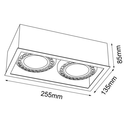 Brosline - Candeeiro de tecto com 2 focos GU10/18W/230V branco