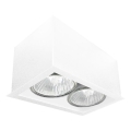 Brosline - Foco direcionável 2xGU10/10W/230V branco
