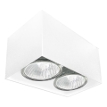 Brosline - Luminária de teto direcionável 2xGU10/10W/230V branca