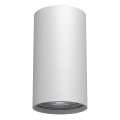 Brosline - Spot direcionável 1xGU10/10W/230V branco
