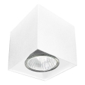 Brosline - Spot direcionável 1xGU10/10W/230V branco
