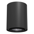 Brosline - Spot direcionável 1xGU10/10W/230V preto