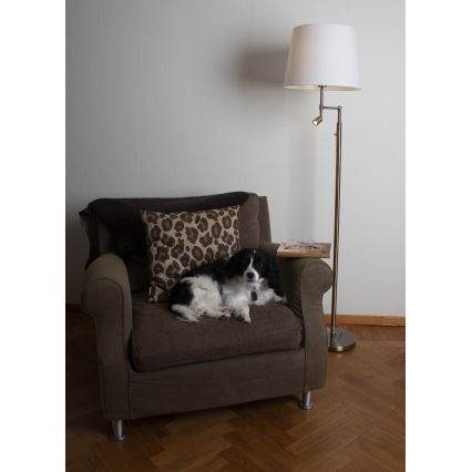 ByRydens - Candeeiro de chão LED ORLANDO 1xE27/5W/230V + LED/3W branco/bronze diâmetro 36 cm