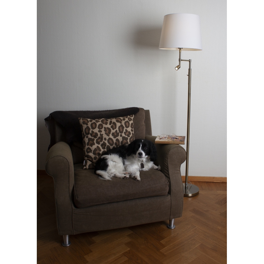 ByRydens - Candeeiro de chão LED ORLANDO 1xE27/5W/230V + LED/3W branco/bronze diâmetro 36 cm