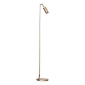 ByRydens - Candeeiro de pé CURVE 1xGU10/7W/230V dourado