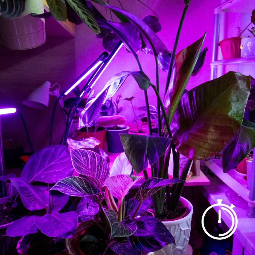 LED Regulação flexible candeeiro de mesa com clipe para o cultivo de plantas VITARO 3xLED/10W/230V preto