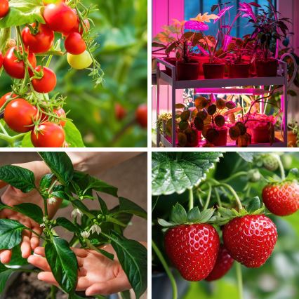 LED Regulação flexible candeeiro de mesa com clipe para o cultivo de plantas VITARO 3xLED/10W/230V preto