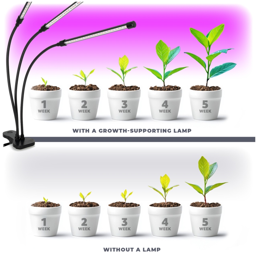 LED Regulação flexible candeeiro de mesa com clipe para o cultivo de plantas VITARO 3xLED/10W/230V preto