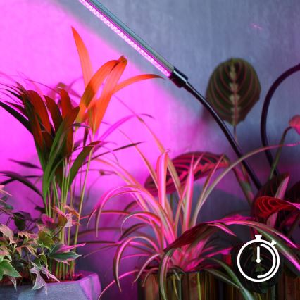 LED Regulação flexible candeeiro de mesa com clipe para o cultivo de plantas VITARO 4xLED/10W/230V preto