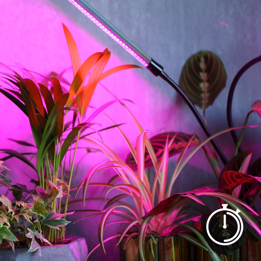 LED Regulação flexible candeeiro de mesa com clipe para o cultivo de plantas VITARO 4xLED/10W/230V preto