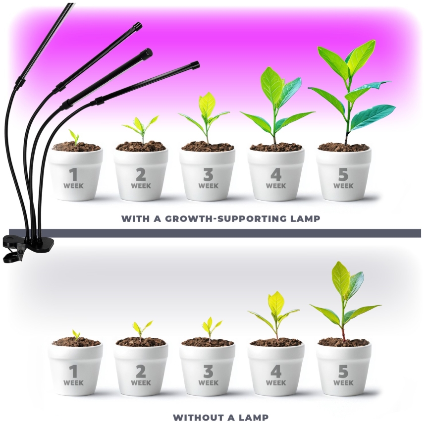 LED Regulação flexible candeeiro de mesa com clipe para o cultivo de plantas VITARO 4xLED/10W/230V preto