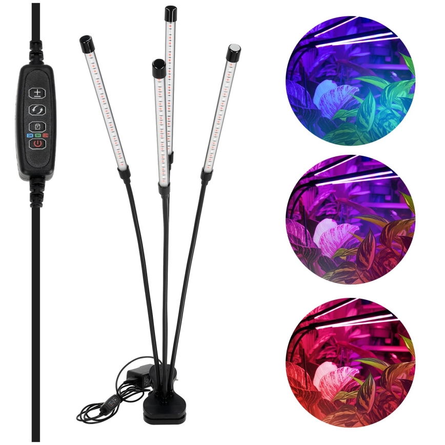 LED Regulação flexible candeeiro de mesa com clipe para o cultivo de plantas VITARO 4xLED/10W/230V preto