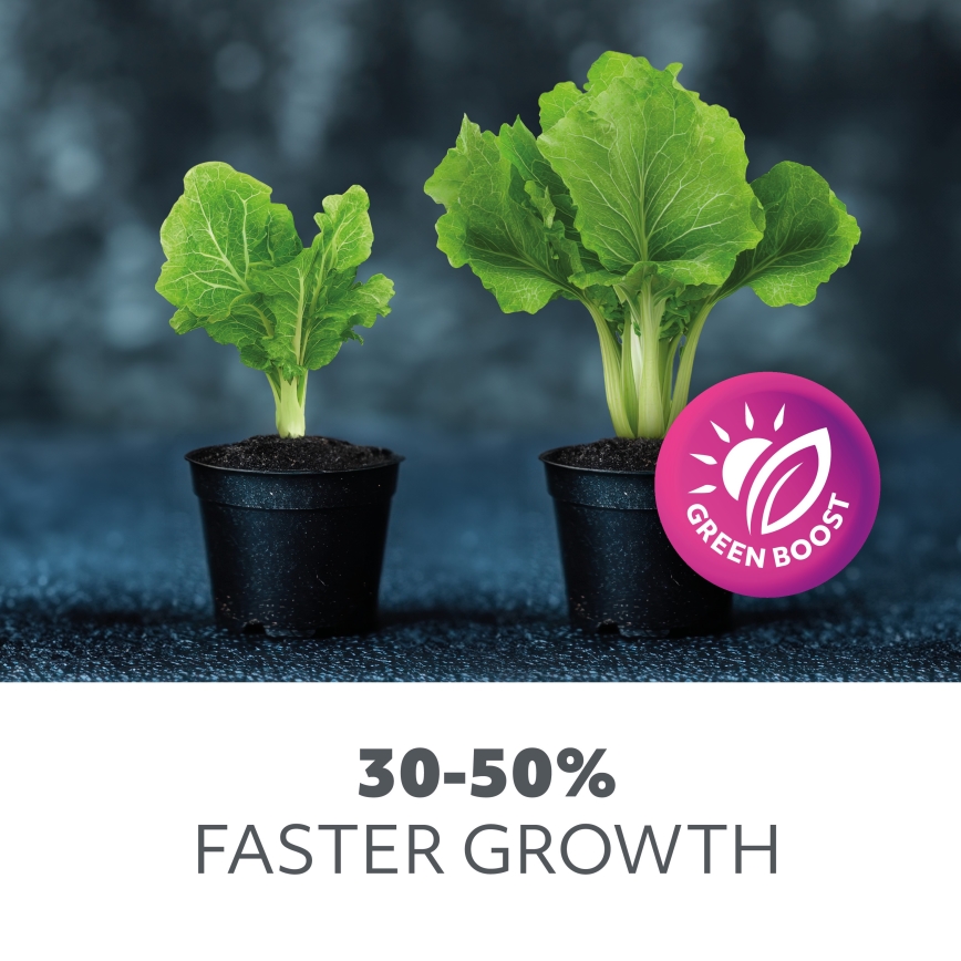 LED Regulação flexible candeeiro de mesa com clipe para o cultivo de plantas VITARO 4xLED/10W/230V preto