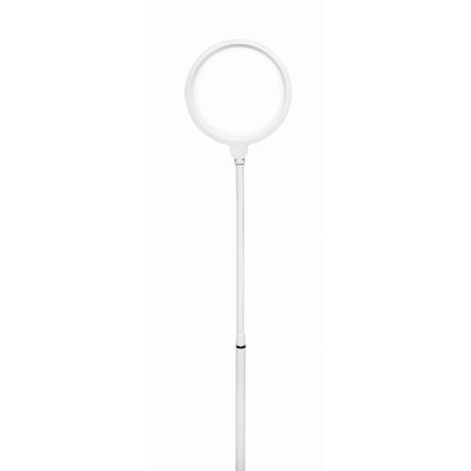 Candeeiro de chão LED com regulação 2em1 LED/10W/230V branco