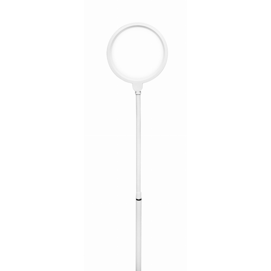 Candeeiro de chão LED com regulação 2em1 LED/10W/230V branco