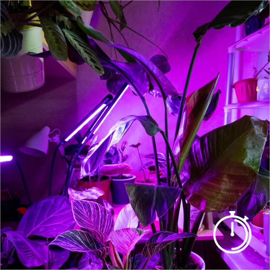 Candeeiro de chão LED flexível com regulação para o cultivo de plantas VITARO 4xLED/7,5W/230V preto