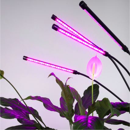Candeeiro de chão LED flexível com regulação para o cultivo de plantas VITARO 4xLED/7,5W/230V preto