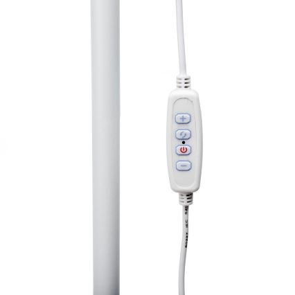 Candeeiro de chão LED com regulação SIGNUS LED/10W/230V 3000/4500/6500K branco