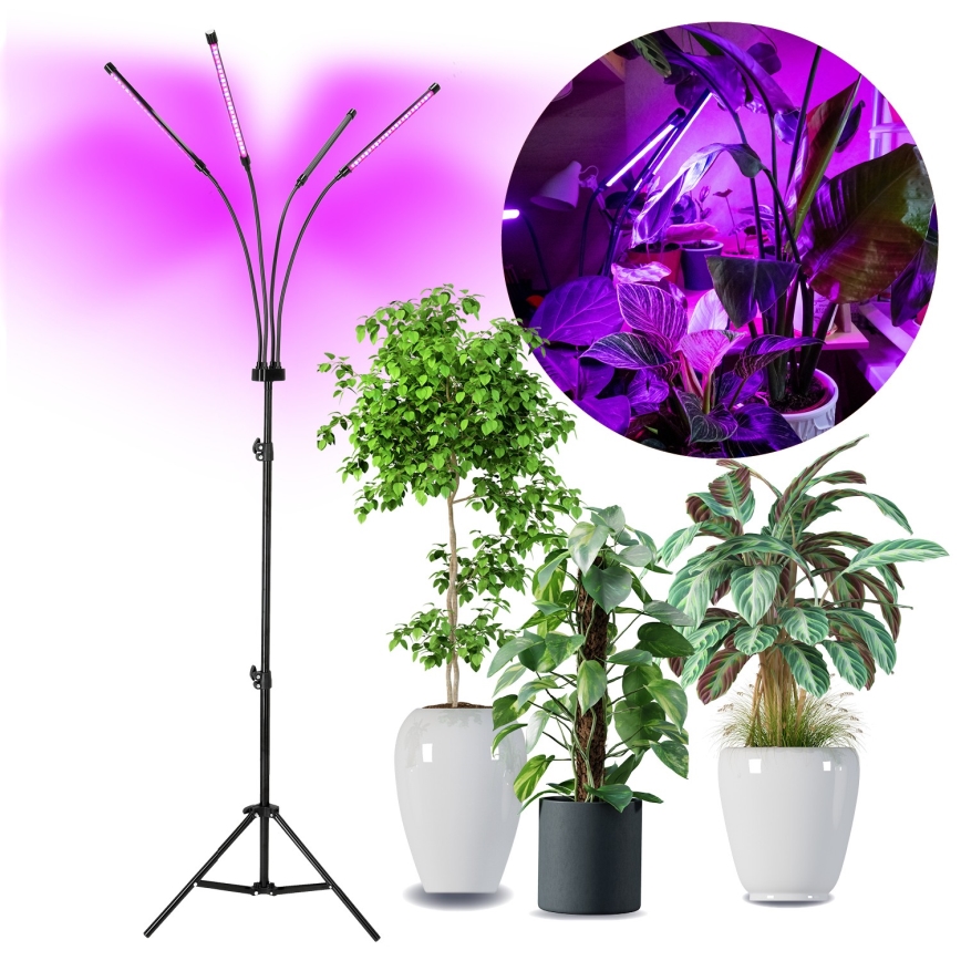 Candeeiro de chão LED flexível com regulação para o cultivo de plantas VITARO 4xLED/7,5W/230V preto