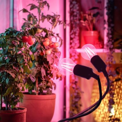 Candeeiro de mesa flexível com clipe para o cultivo de plantas PLANTY 2xE27/30W/230V preto
