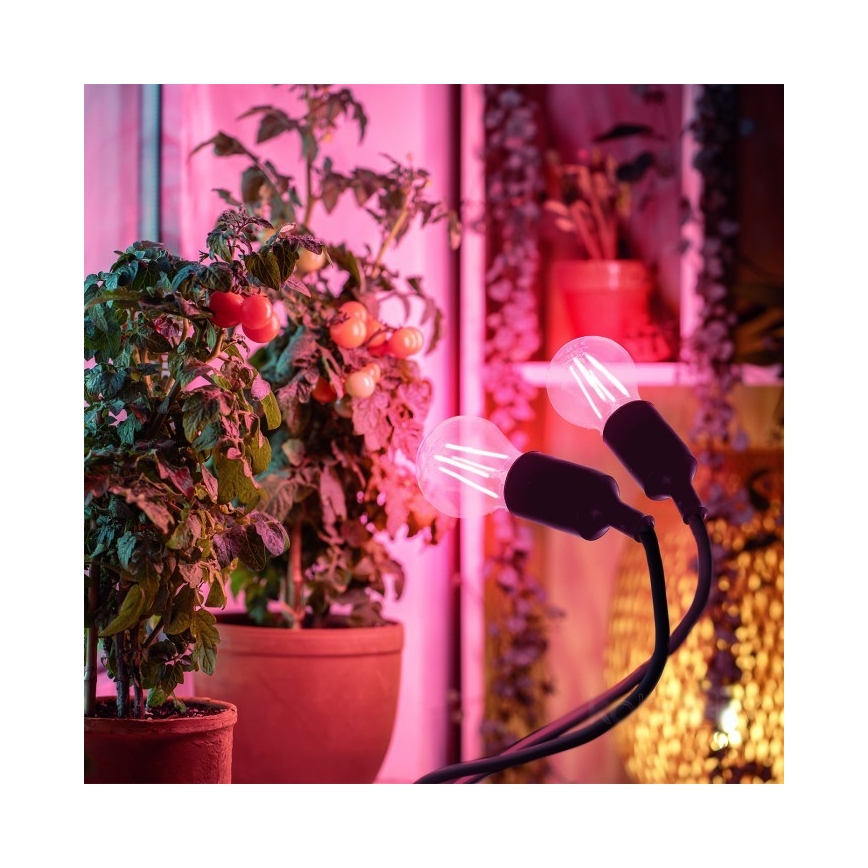 Candeeiro de mesa flexível com clipe para o cultivo de plantas PLANTY 2xE27/30W/230V preto